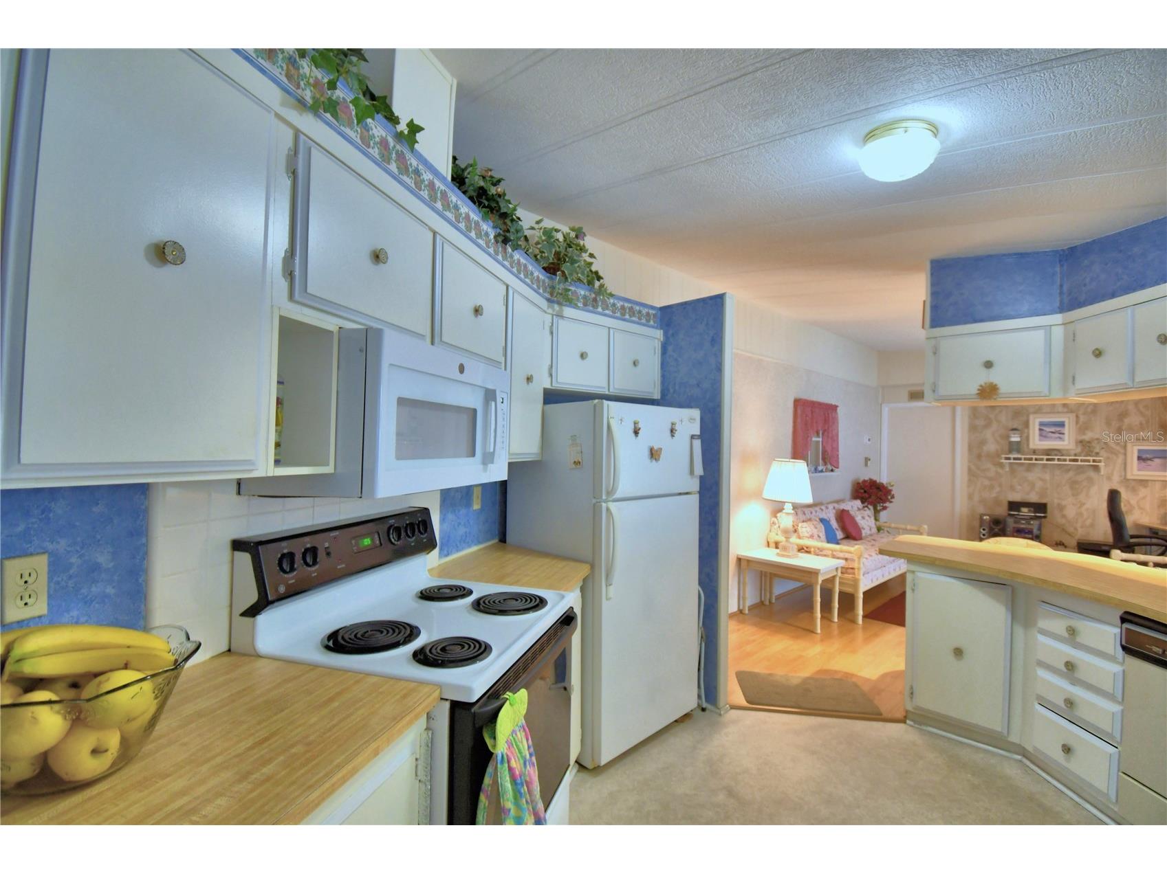 4410 Limewood Street Winter Haven FL 33880 - Dinner Lake P4937929 image16