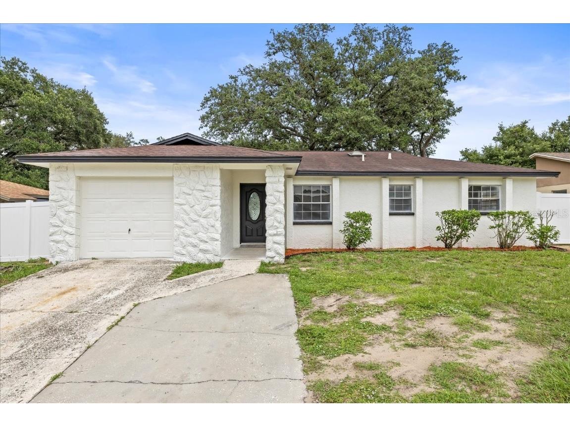 4410 Lurline Circle Tampa FL 33610 TB8403601 image1