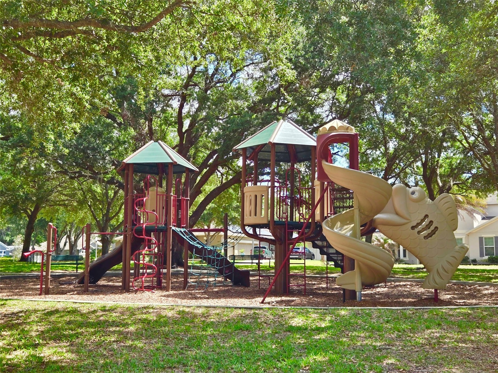4410 Pine Gold Avenue Apopka FL 32712 O6378913 image21