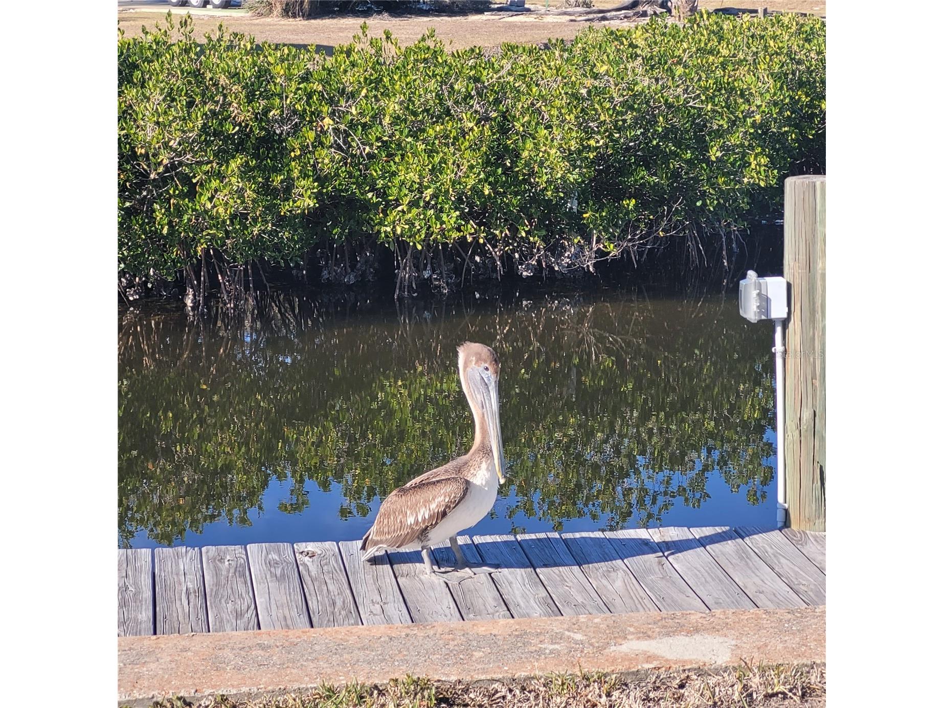 4410 Warren Avenue #108 Port Charlotte FL 33953 - MYAKKA RIVER D6145928 image31