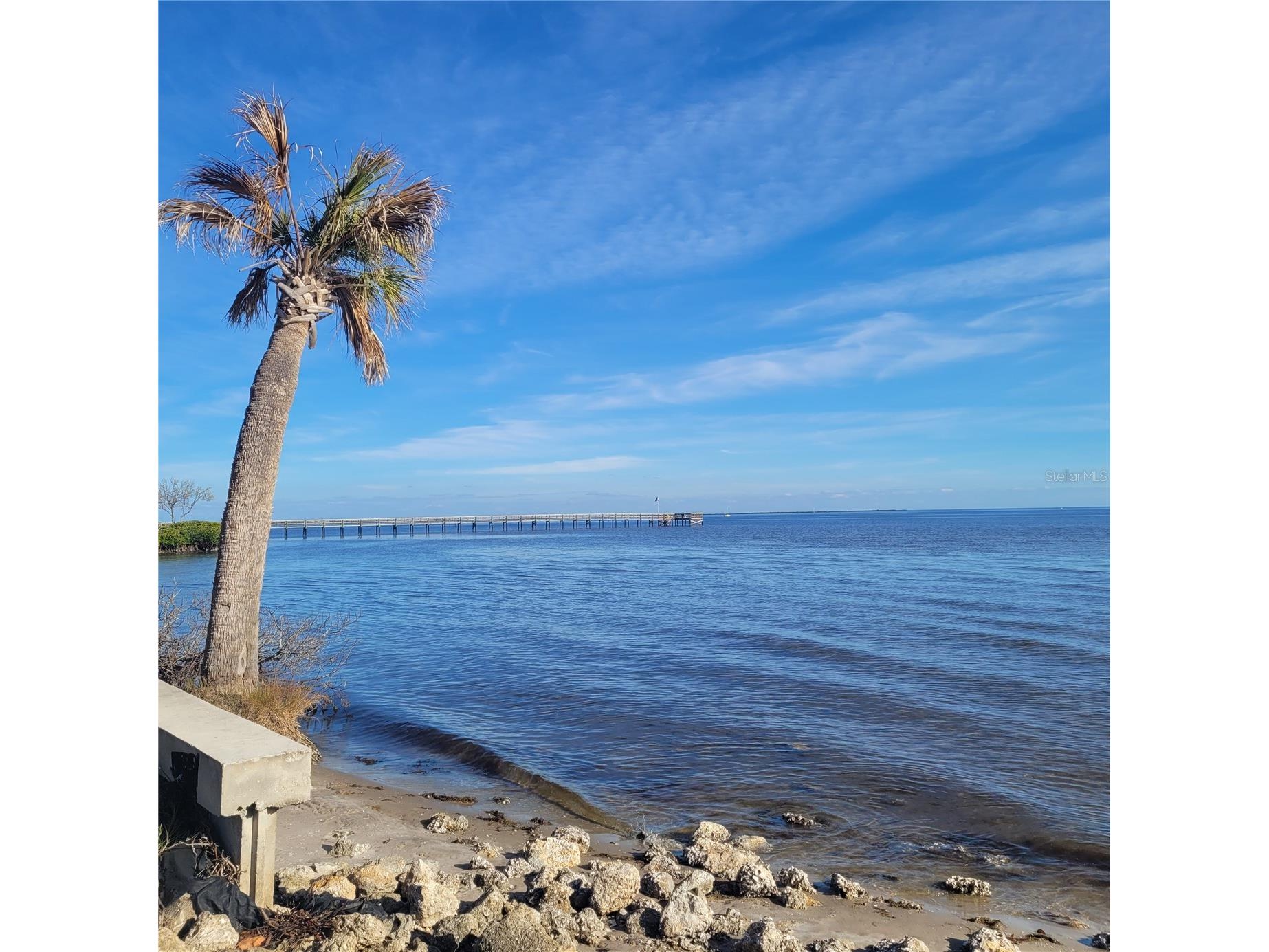 4410 Warren Avenue #108 Port Charlotte FL 33953 - MYAKKA RIVER D6145928 image36