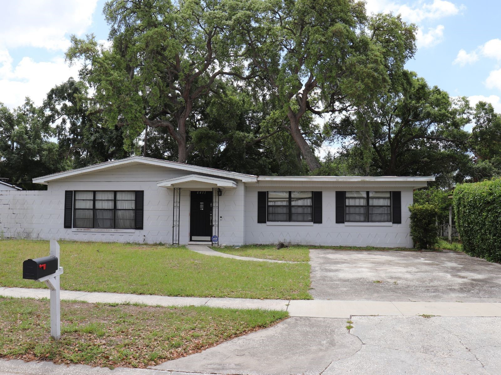 4411 Bass Street Tampa FL 33617 TB8497805 image1