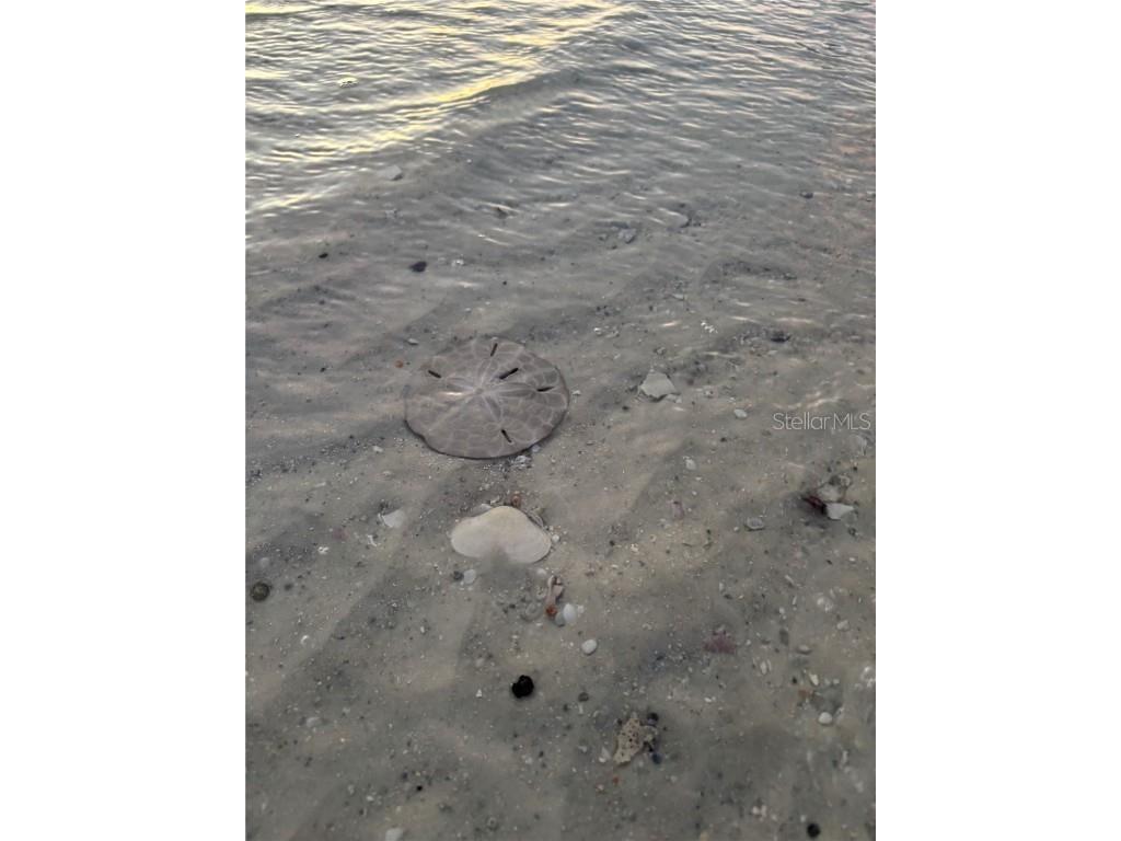 4411 Bay Beach Lane #744 Fort Myers Beach FL 33931 C7519236 image41