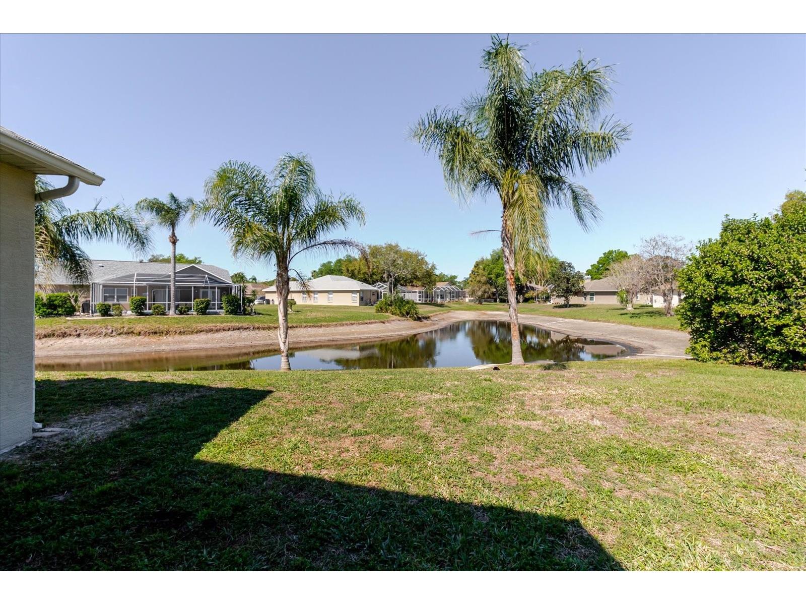 4411 Genesee Lane New Port Richey FL 34655 TB8487431 image34
