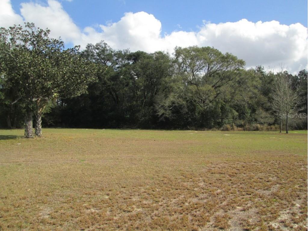 4411 N Orange Blossom Trail Mount Dora FL 32757 G5081537 image5