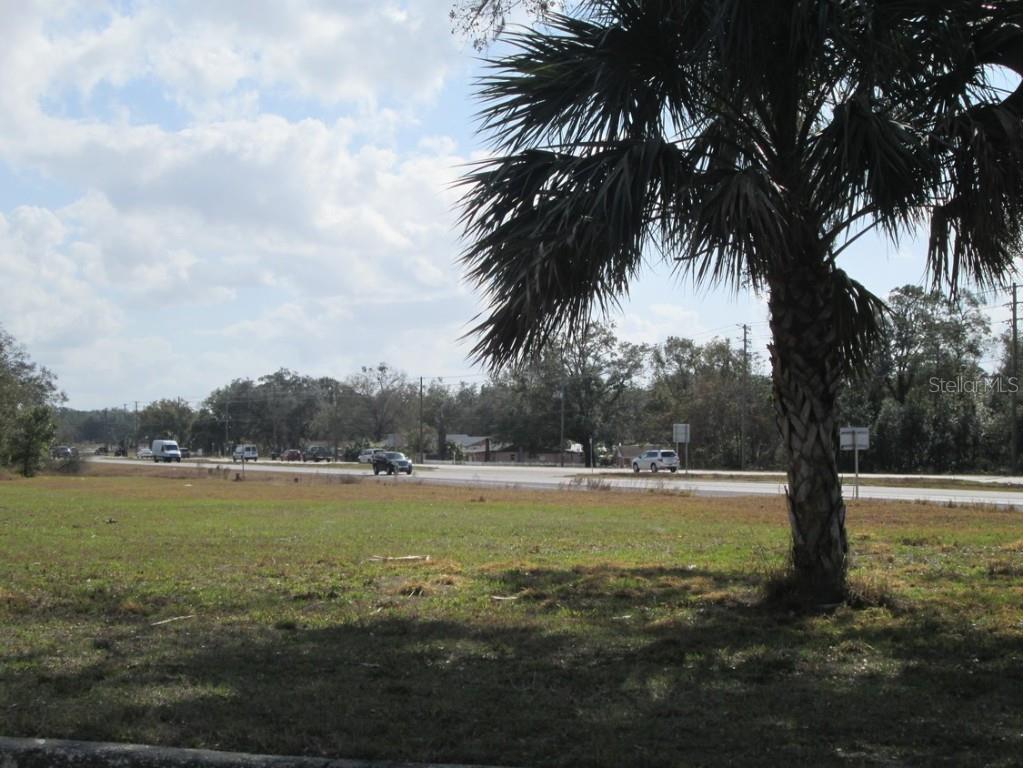 4411 N Orange Blossom Trail Mount Dora FL 32757 G5081537 image6