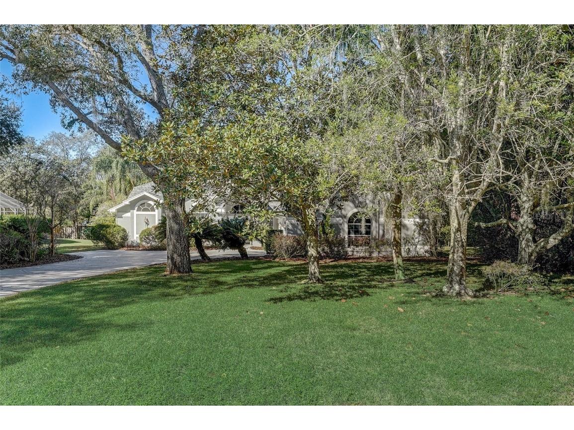 4411 Rachel Boulevard Spring Hill FL 34607 T3512407 image1