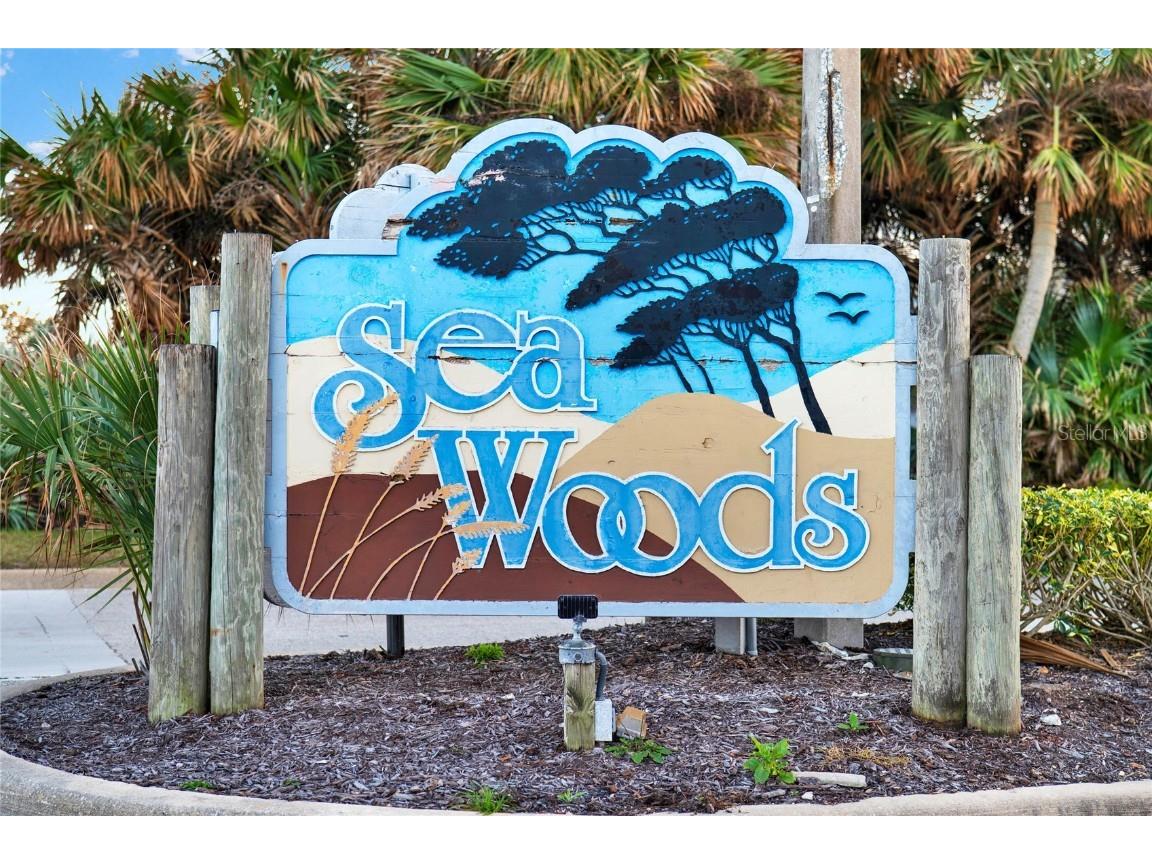 4411 Sea Mist Court #174 New Smyrna Beach FL 32169 O6277368 image56