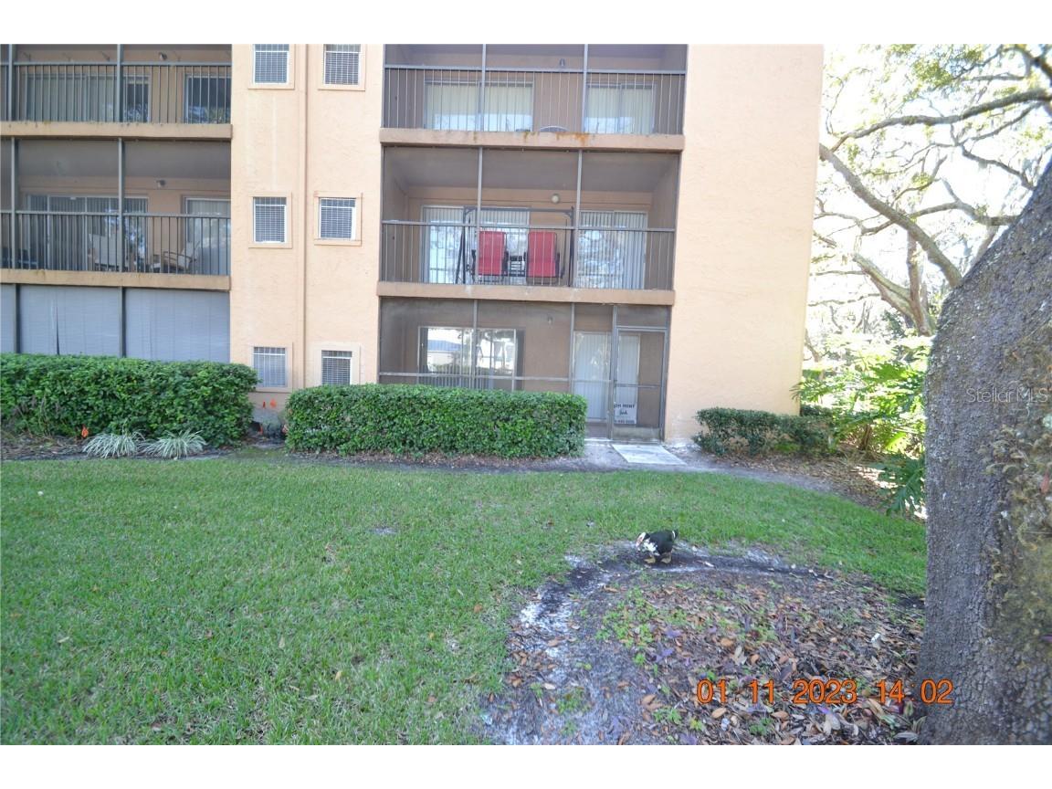 4411 Shady Terrace Lane #101 Tampa FL 33613 T3429827 image1