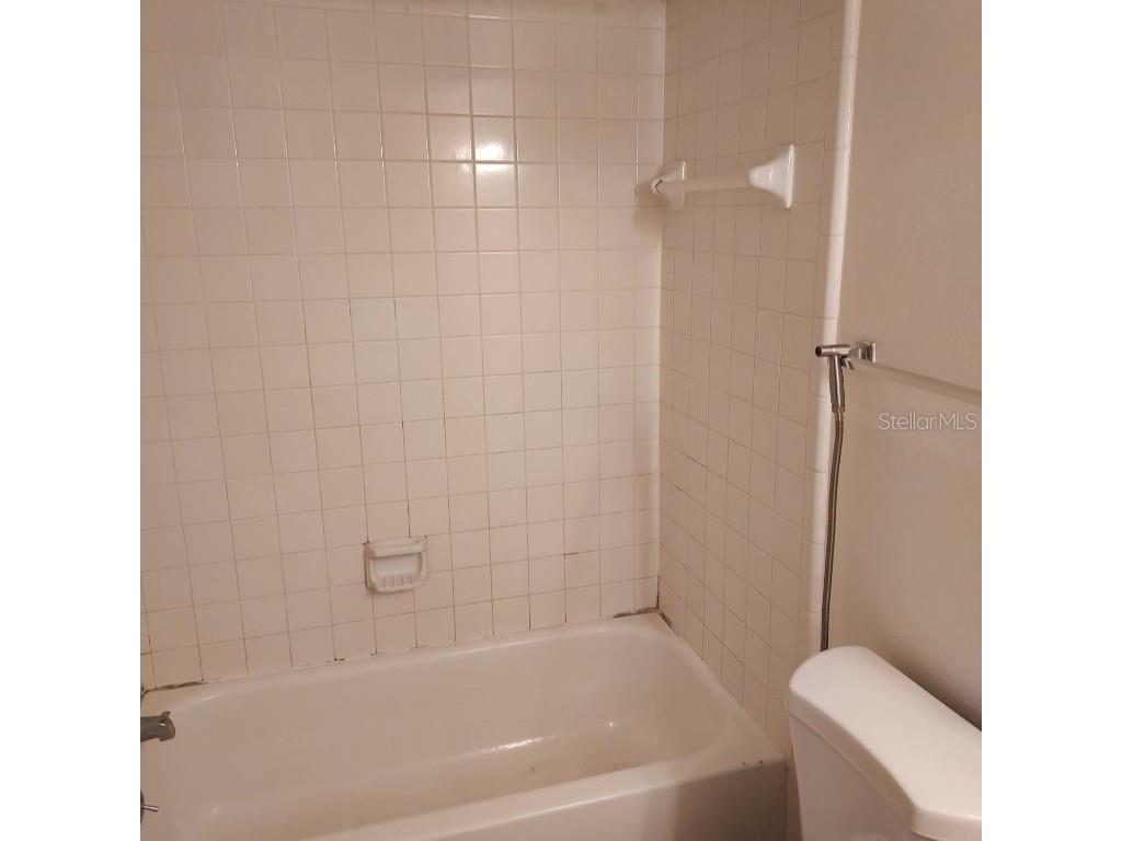 4411 Shady Terrace Lane #105 Tampa FL 33613 TB8440719 image15