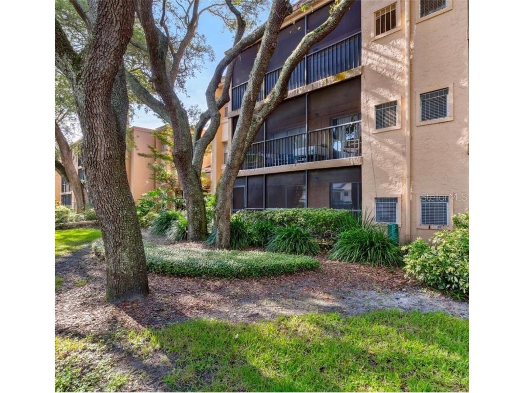 4411 Shady Terrace Lane #107 Tampa FL 33613 T3498235 image1