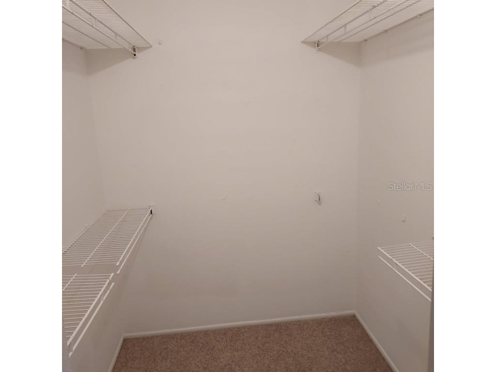 4411 Shady Terrace Lane #302 Tampa FL 33613 TB8454324 image5