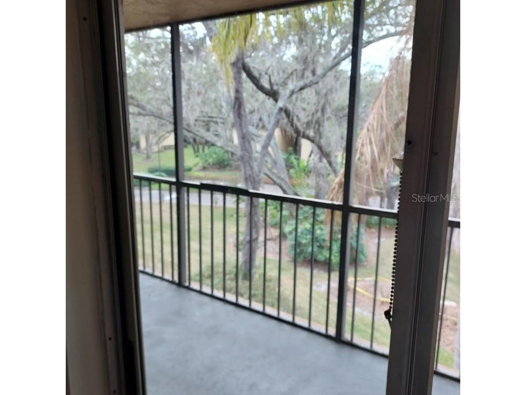 4411 Shady Terrace Lane #302 Tampa FL 33613 TB8454324 image8