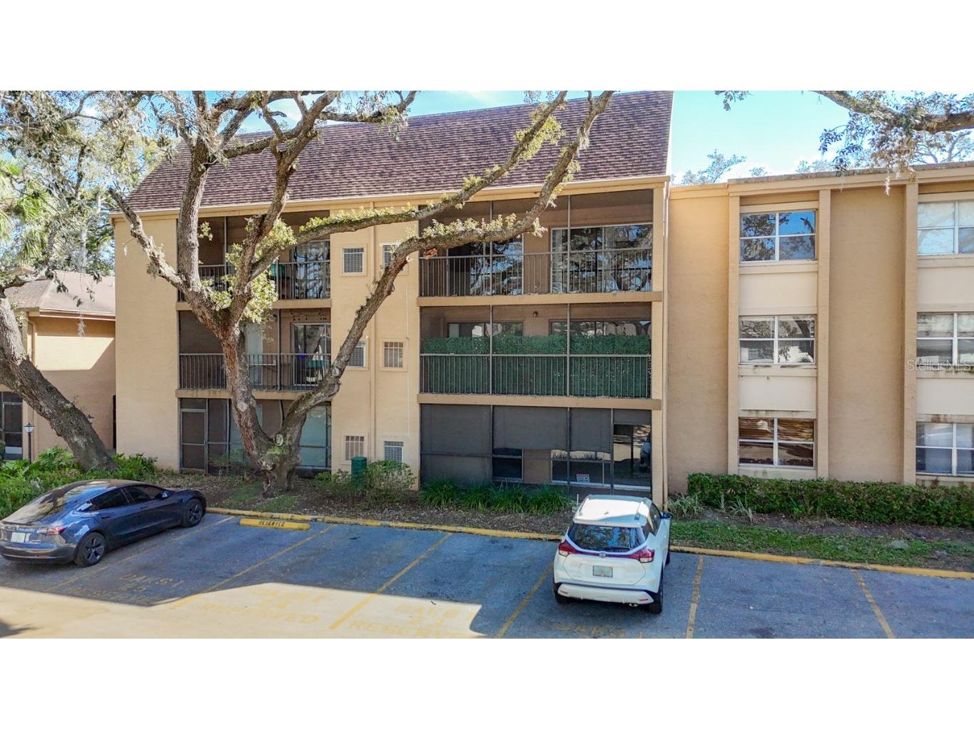 4411 Shady Terrace Lane #313 Tampa FL 33613 TB8315237 image1