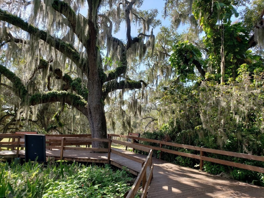 4412 Dolphin Lane Palmetto FL 34221 - CANAL TO TERRA CEIA BAY & GULF A4667535 image50