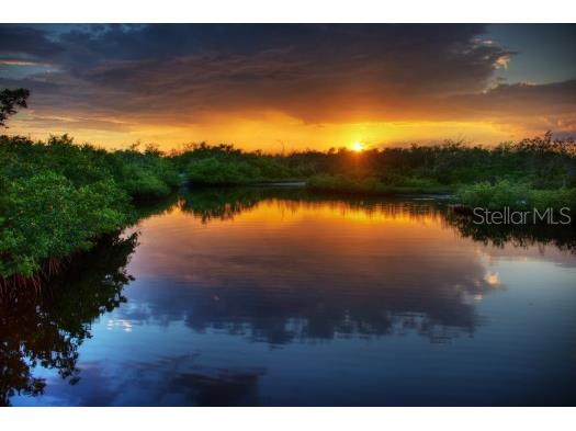 4412 Dolphin Lane Palmetto FL 34221 - CANAL TO TERRA CEIA BAY & GULF A4667535 image51