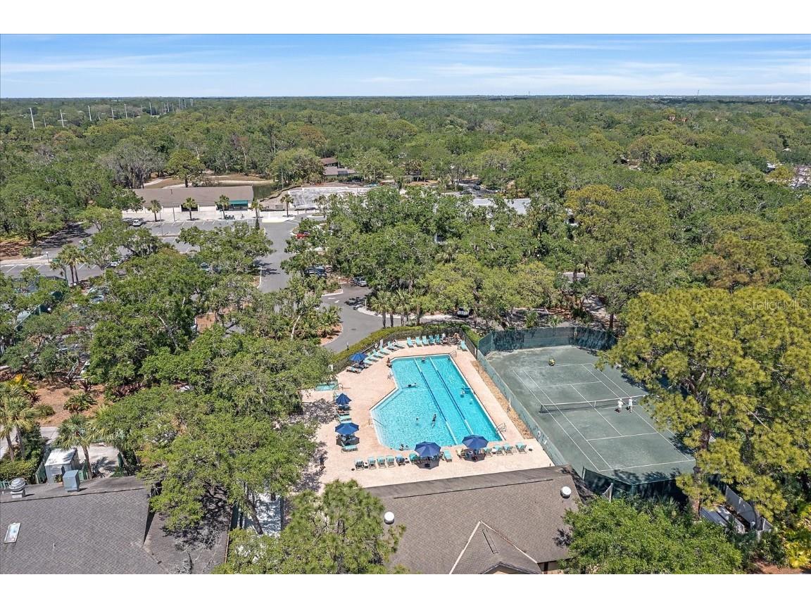 4412 Highland Park #3 Sarasota FL 34235 A4668227 image31