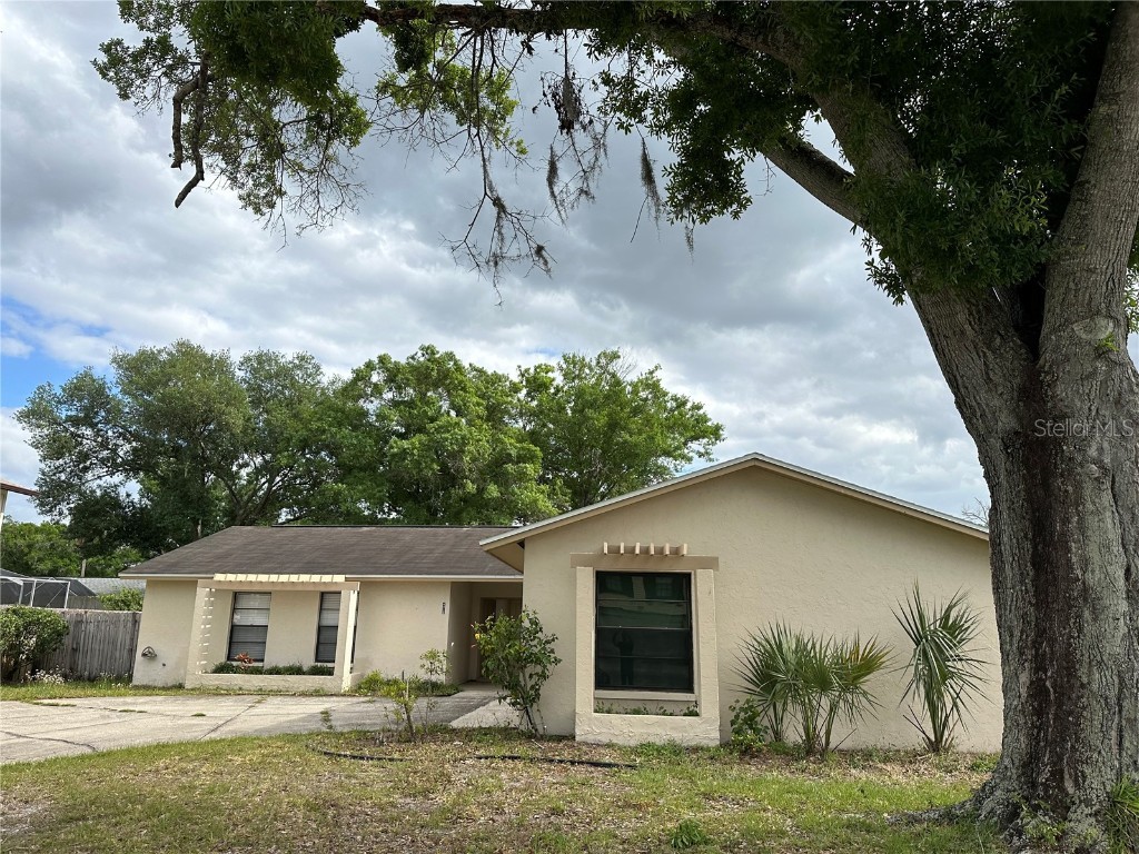 4412 Larkfield Lane Tampa FL 33624 T3516151 image1