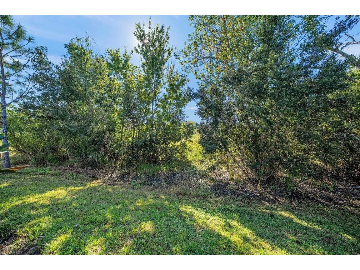 4412 Star Apple Terrace Bradenton FL 34203 A4672934 image36