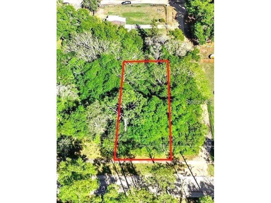 44126 Spring Creek Road Paisley FL 32767 O6364418 image1
