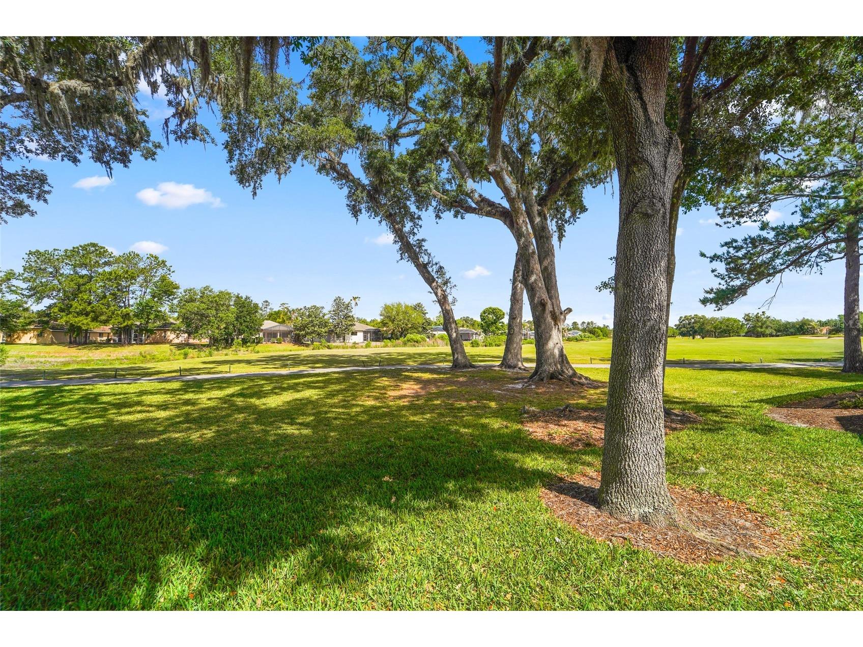 4413 Caliquen Drive Brooksville FL 34604 W7885193 image39