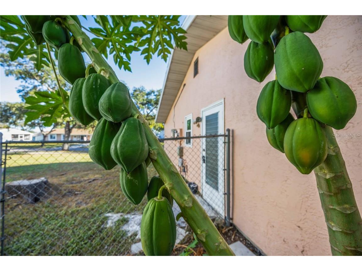 4413 Mckibben Drive North Port FL 34287 A4669049 image39