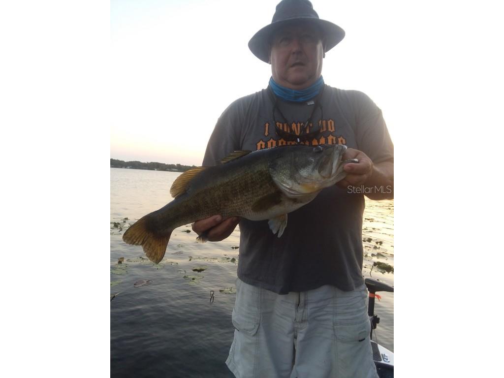 4414 Bonnet Lake Drive Haines City FL 33844 - BONNET LAKE P4931608 image30