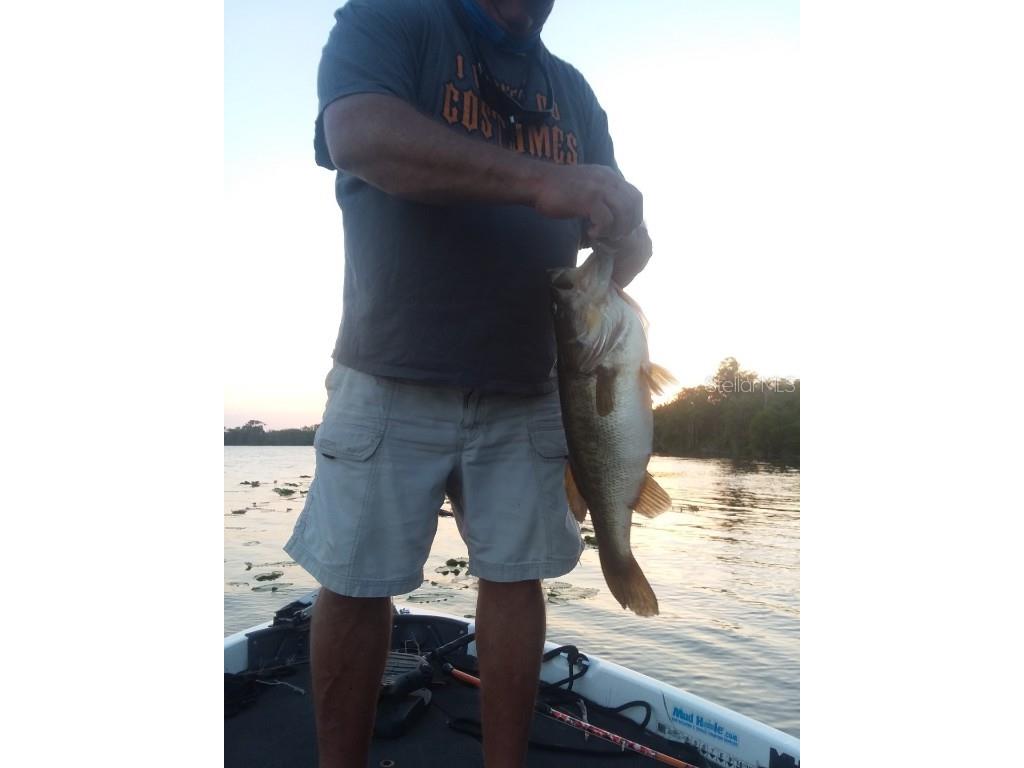 4414 Bonnet Lake Drive Haines City FL 33844 - BONNET LAKE P4931608 image31