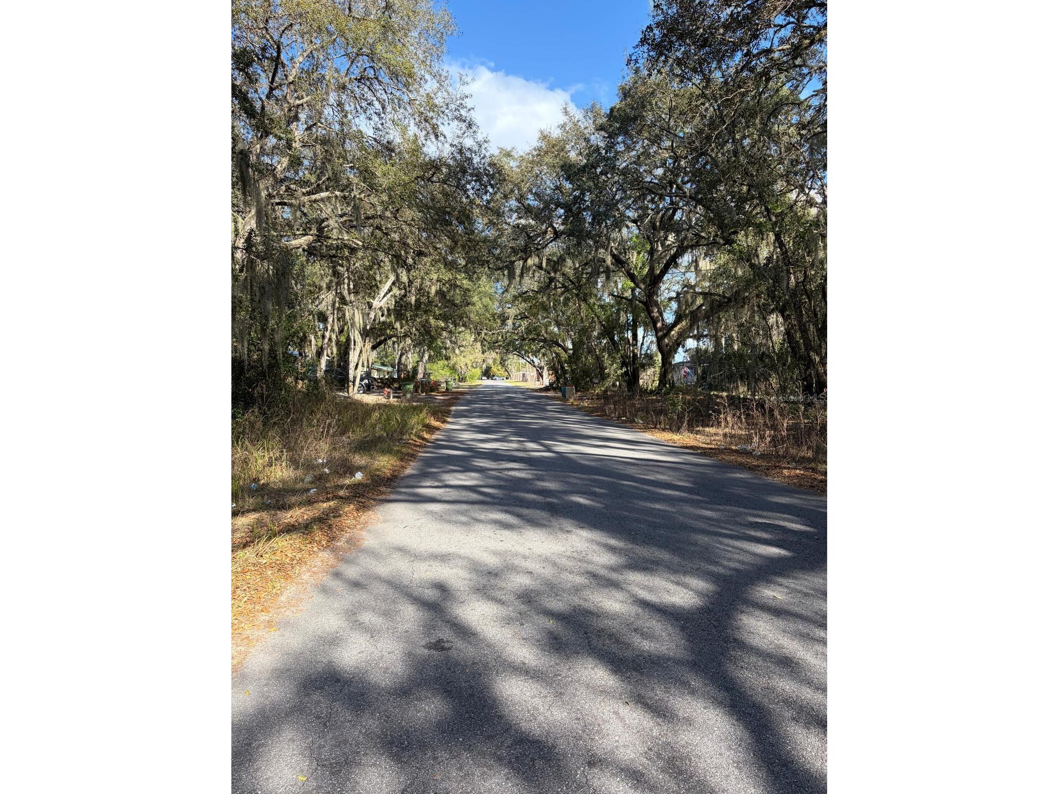 4414 Cobalt Street Palatka FL 32177 O6388694 image1