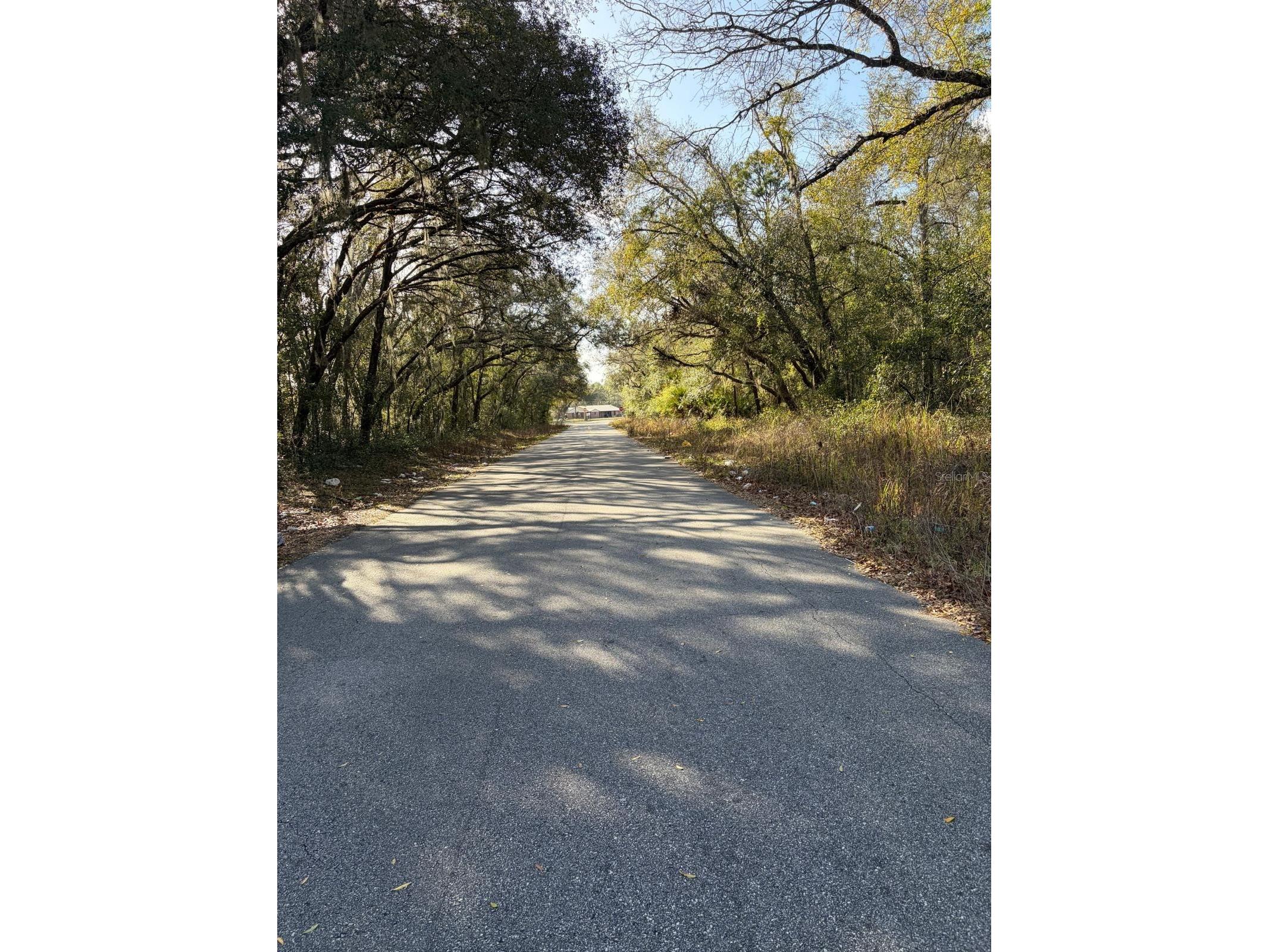 4414 Cobalt Street Palatka FL 32177 O6388694 image2