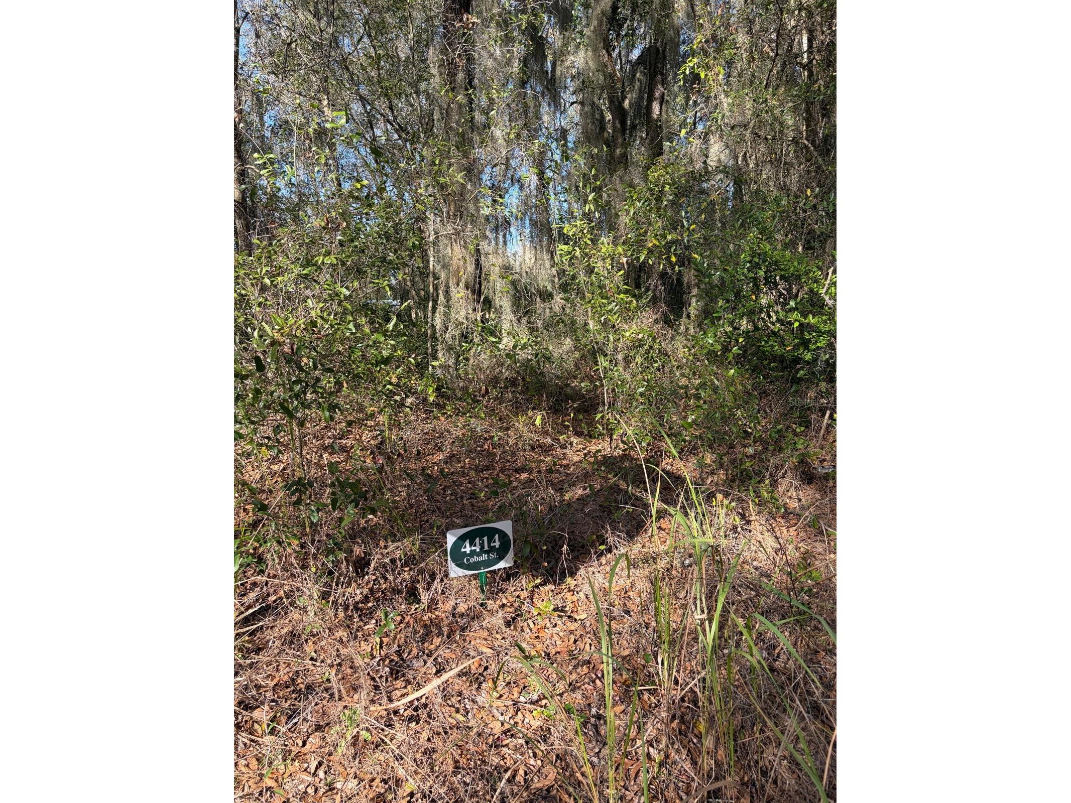 4414 Cobalt Street Palatka FL 32177 O6388694 image3