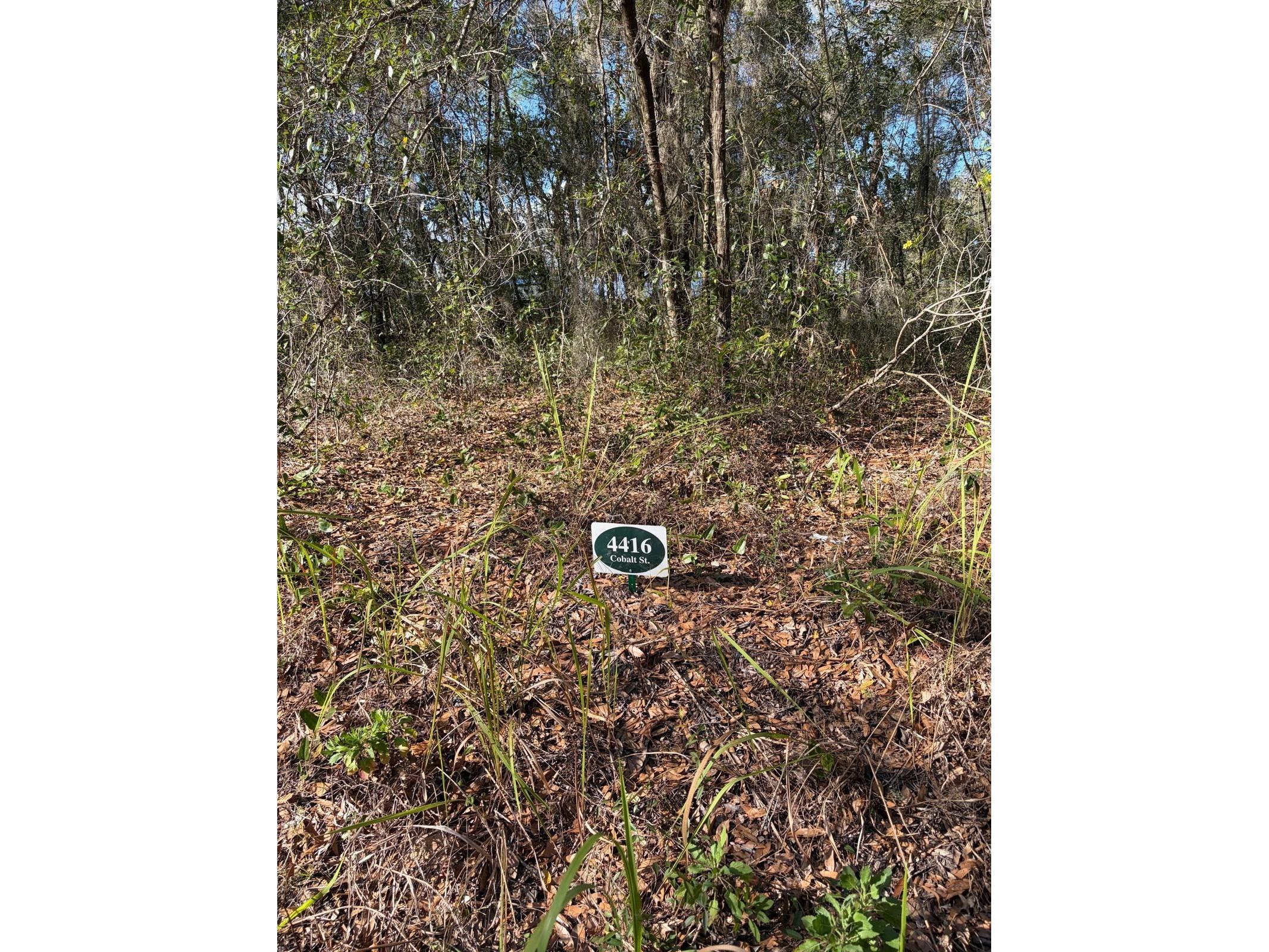 4414 Cobalt Street Palatka FL 32177 O6388694 image5