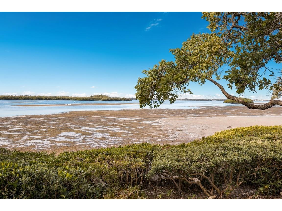 4414 Mount Vernon Drive #1 Bradenton FL 34210 A4656762 image50