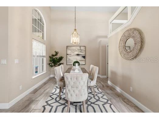 4415 Avenue Cannes Lutz FL 33558 TB8512564 image11