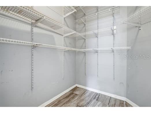 4415 Avenue Cannes Lutz FL 33558 TB8512564 image27