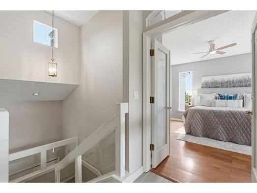 4415 Avenue Cannes Lutz FL 33558 TB8512564 image31