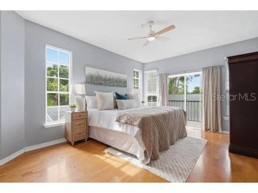 4415 Avenue Cannes Lutz FL 33558 TB8512564 image32