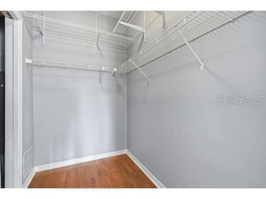 4415 Avenue Cannes Lutz FL 33558 TB8512564 image36