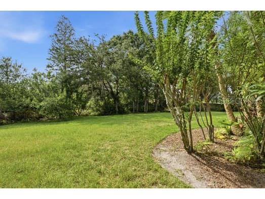 4415 Avenue Cannes Lutz FL 33558 TB8512564 image48