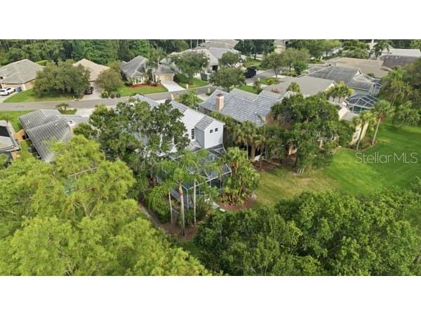 4415 Avenue Cannes Lutz FL 33558 TB8512564 image53