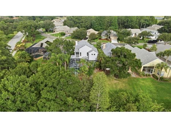 4415 Avenue Cannes Lutz FL 33558 TB8512564 image54