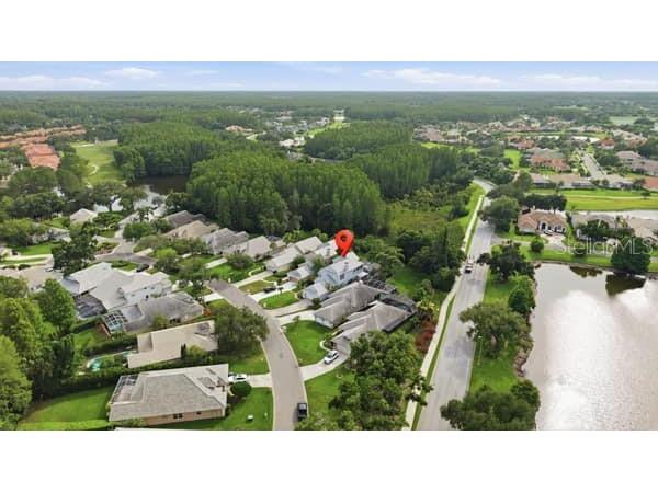 4415 Avenue Cannes Lutz FL 33558 TB8512564 image57