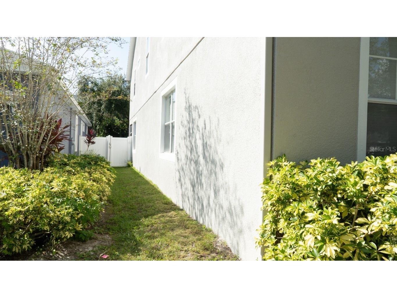 4415 Blue Major Drive Windermere FL 34786 O6359496 image12