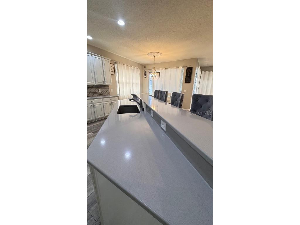 4415 Blue Major Drive Windermere FL 34786 O6359496 image21