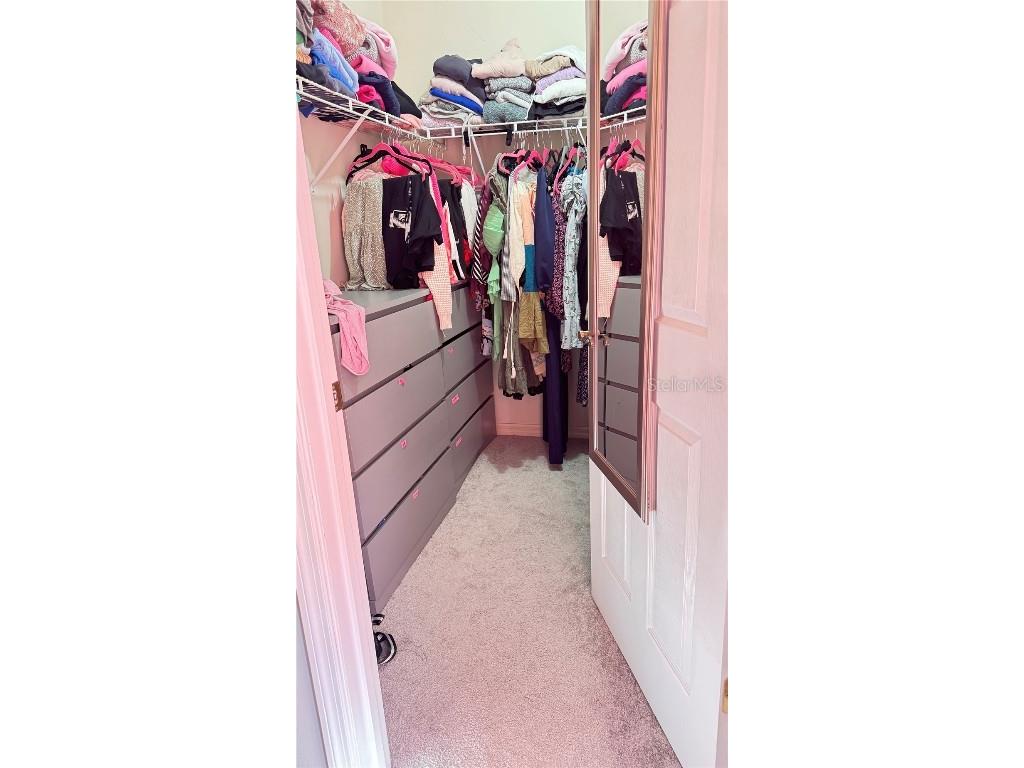 4415 Blue Major Drive Windermere FL 34786 O6359496 image30