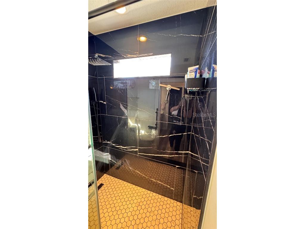 4415 Blue Major Drive Windermere FL 34786 O6359496 image43