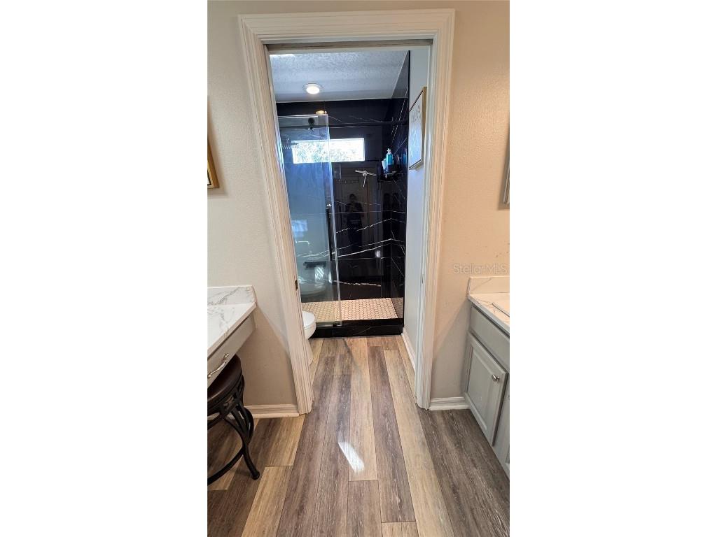 4415 Blue Major Drive Windermere FL 34786 O6359496 image44