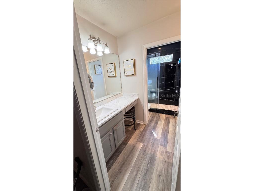 4415 Blue Major Drive Windermere FL 34786 O6359496 image45