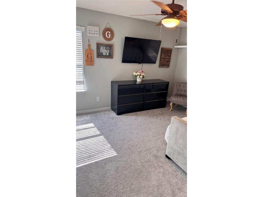 4415 Blue Major Drive Windermere FL 34786 O6359496 image49