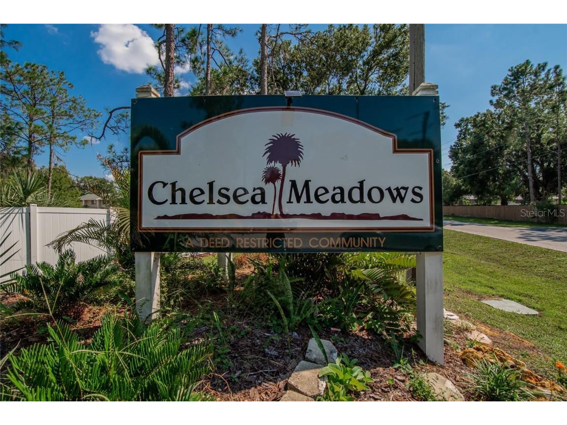 4415 Dylan Loop #179 Land O Lakes FL 34639 TB8429495 image44